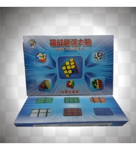 Cubes Shengshou, boîte cadeau 6 cubes