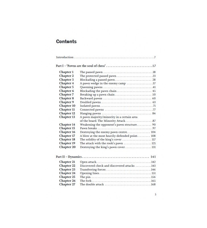 Sakaev & Landa - The Complete Manual of Positional Chess, Volume 2