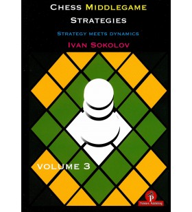 Sokolov - Chess Midlegames Strategies volume 3