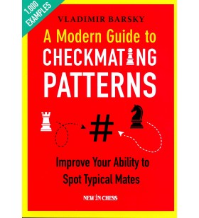 Barsky - A modern Guide to Checkmating Patterns