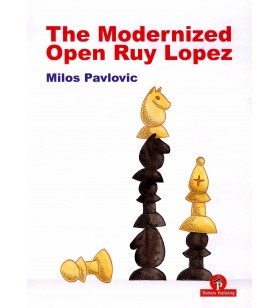 Pavlovic - The modernized...