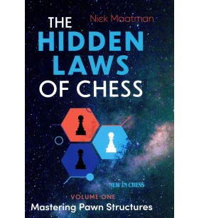 Maatman - The Hiden Laws of...