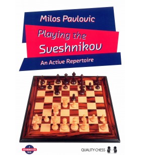 Pavlovic - Playing the...