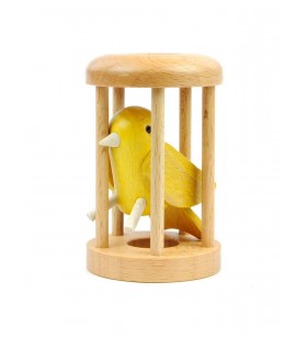 Canary in Cage