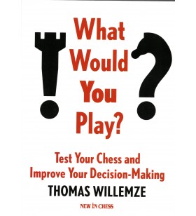 Willemze - What would you...