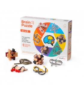 Brain puzzle set of 6