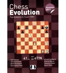 Chess Evolution - November...