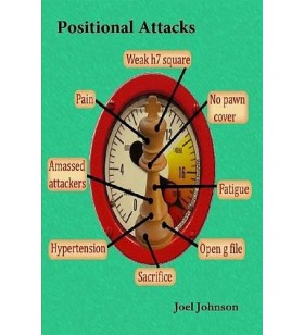 Johnson - Positional Attacks