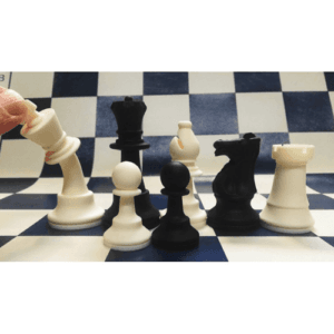 pièces d'échecs n°5 silicone