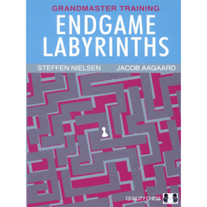 nielsen/aagaard endgame labyrinths