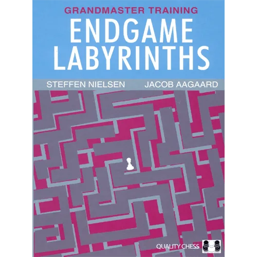 nielsen/aagaard endgame labyrinths