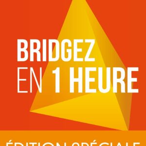 Lebel - Bridgez en 1 Heure