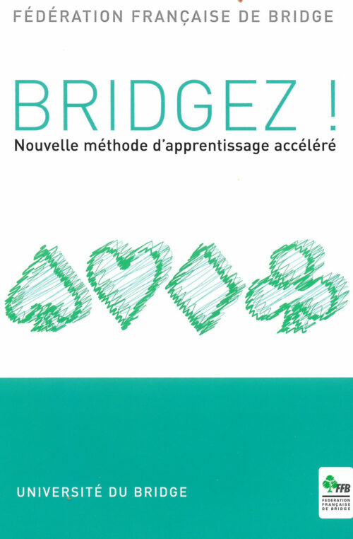 Bridgez!