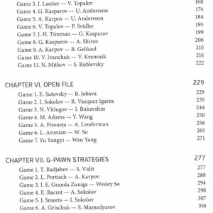 Sokolov - Chess Midlegames Strategies volume 3