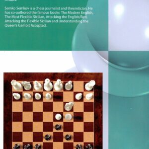 Semkov - The Modern Triangle