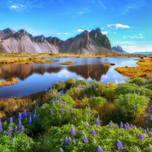 Puzzle 1000 pièces- Le cap Stokksnes