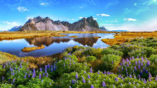 Puzzle 1000 pièces- Le cap Stokksnes