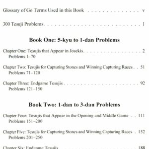 Graded Go Problems for Dan Players - Volume 2
