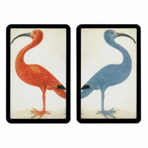 Coffret Ibis