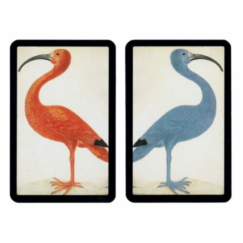 Coffret Ibis