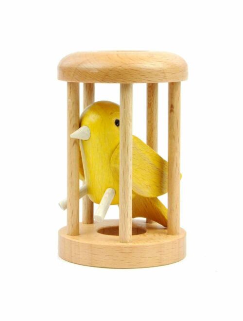 Canari Dans sa cage