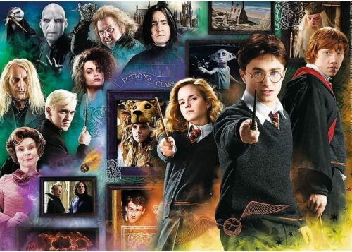 Puzzle 1000 pièces : Harry Potter : Le monde des sorciers