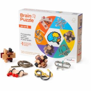 Brain puzzle set of 6