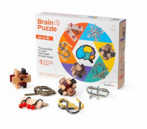 Brain puzzle set of 6