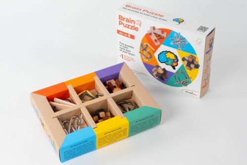 Brain puzzle set of 6