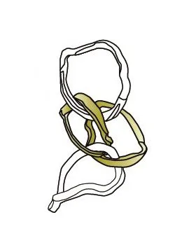 Cast Ring ****